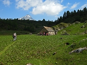 Alpe Corbernas (mt.2026) : devtra